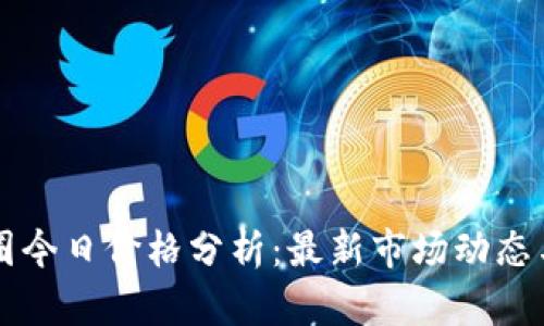 区块链币圈今日价格分析：最新市场动态与趋势解读