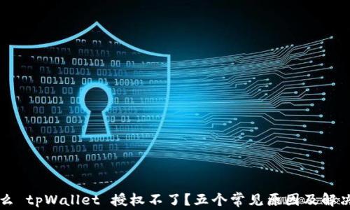 
为什么 tpWallet 授权不了？五个常见原因及解决方案
