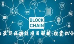 2023年国内最新区块链项目解析：投资机会与市场