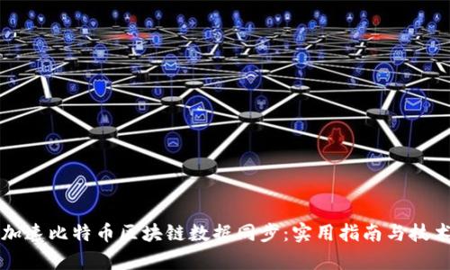 如何加速比特币区块链数据同步：实用指南与技术分析