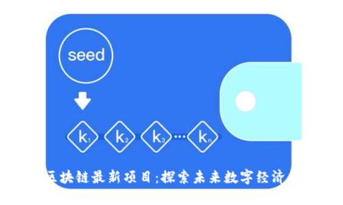 上海区块链最新项目：探索未来数字经济的前沿