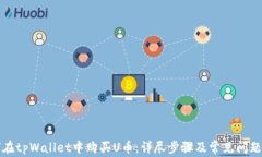 如何在tpWallet中购买U币：详尽步骤及常见问题解