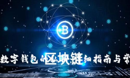 如何找到tp数字钱包的私钥：详细指南与常见问题解答