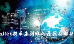 tpWallet提币未到账的原因及解决方法