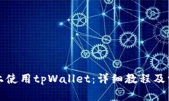 如何在电脑上使用tpWallet：详细教程及常见问题解