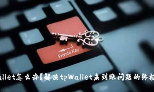 tpWallet怎么办？解决tpWallet未到账问题的终极指南