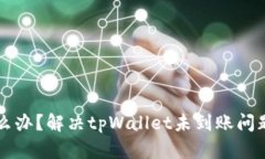 tpWallet怎么办？解决tpWallet未到账问题的终极指南