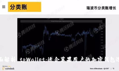 全面解析 tpWallet：适合苹果用户的加密钱包选择