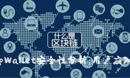 2022tpWallet安全性分析：用户应知的一切