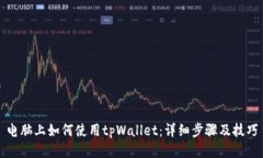 电脑上如何使用tpWallet：详细步骤及技巧
