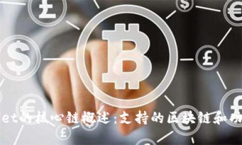 tpWallet的核心链概述：支持的区块链和功能介绍