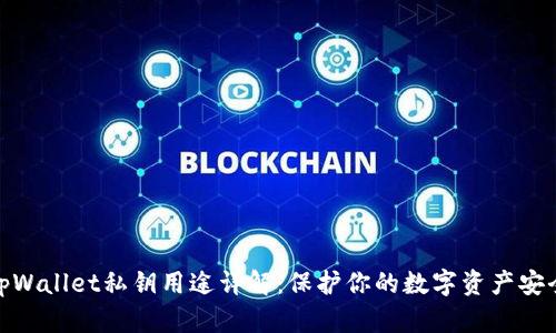 tpWallet私钥用途详解：保护你的数字资产安全
