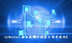 tpWallet：原来是哪个国家公司开发的？