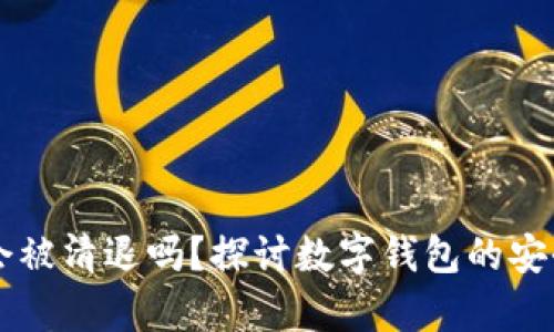 tpWallet会被清退吗？探讨数字钱包的安全性与未来