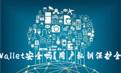  TPWallet安全吗？用户私钥保护全解析