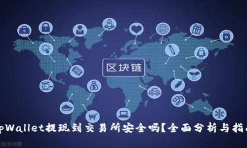 tpWallet提现到交易所安全吗？全面分析与指南