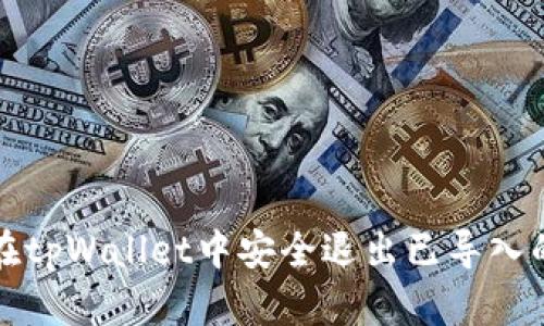如何在tpWallet中安全退出已导入的钱包