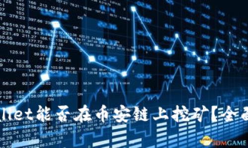 tpWallet能否在币安链上挖矿？全面解析