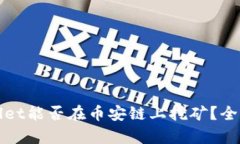 tpWallet能否在币安链上挖矿？全面解析