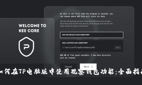 如何在TP电脑版中使用观察钱包功能：全面指南