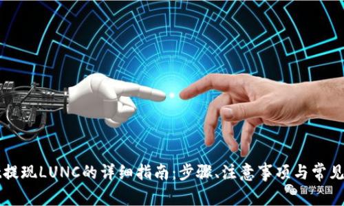 tpWallet提现LUNC的详细指南：步骤、注意事项与常见问题解答