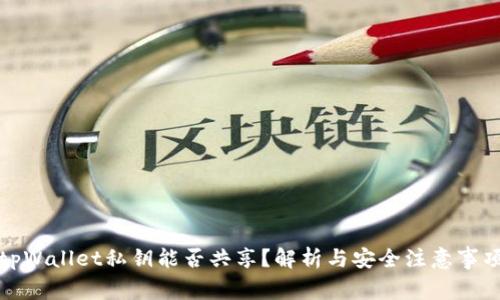 tpWallet私钥能否共享？解析与安全注意事项