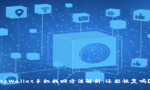 tpWallet手机找回方法解析：还能恢复吗？