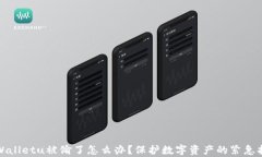 tpWalletu被偷了怎么办？保护数字资产的紧急指南
