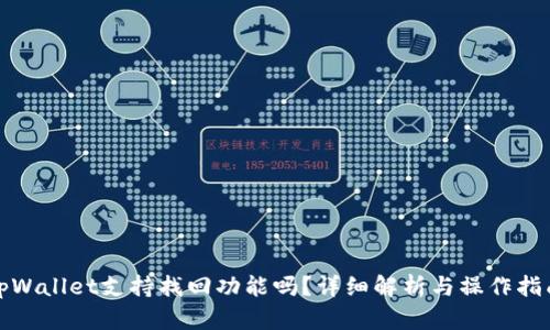 tpWallet支持找回功能吗？详细解析与操作指南