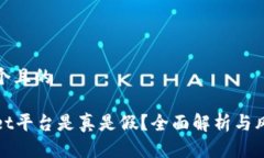 思考一个且的tpWallet平台是真是假？全面解析与风