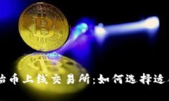 tpWallet原始币上线交易所：如何选择适合的交易平