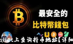 如何在tpWallet上查询持币地址？详细指南与技巧