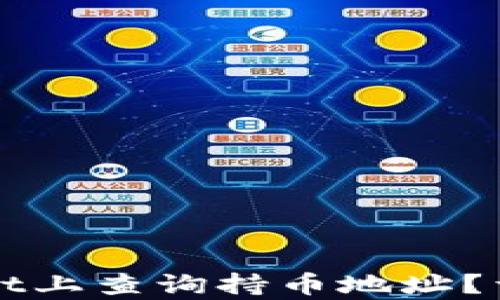 
如何在tpWallet上查询持币地址？详细指南与技巧