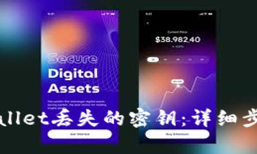 如何找回tpWallet丢失的密钥：详细步骤与解决方案