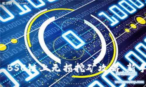 tpWallet BSC链上无损挖矿攻略：新手必看指南