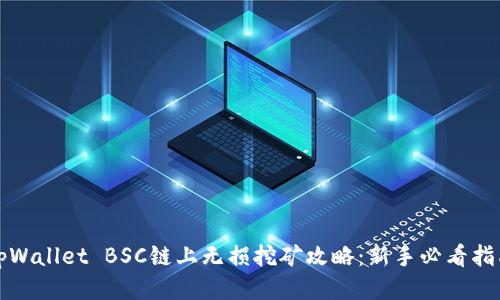tpWallet BSC链上无损挖矿攻略：新手必看指南
