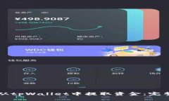 如何从tpWallet中提取资金：完整指南