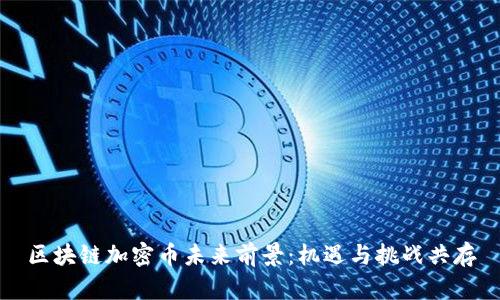 区块链加密币未来前景：机遇与挑战共存