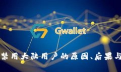 tpWallet禁用大陆用户的原因、后果与解决方案