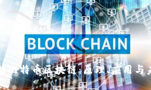 深入了解比特币区块链：原理、应用与未来趋势