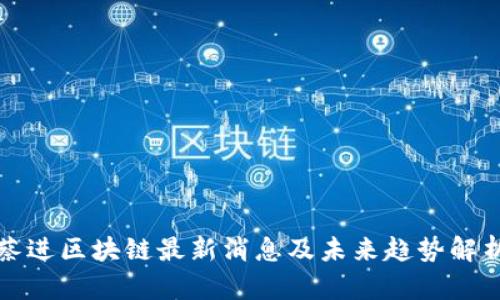蔡进区块链最新消息及未来趋势解析