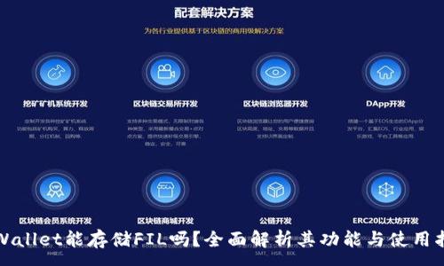 :
tpWallet能存储FIL吗？全面解析其功能与使用指南