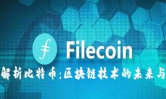 深入解析比特币：区块链技术的未来与影响