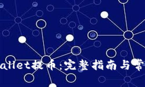 如何往tpWallet提币：完整指南与常见问题解析