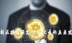全面解析区块链云支付与CC币的未来发展趋势