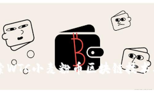 深入探索WTC小麦粉币区块链技术及其应用