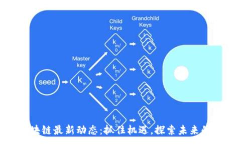 大连区块链最新动态：抓住机遇，探索未来的发展路径