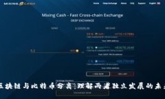 区块链与比特币分离：理解两者独立发展的未来