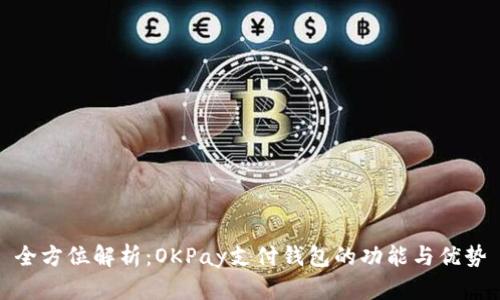 全方位解析：OKPay支付钱包的功能与优势