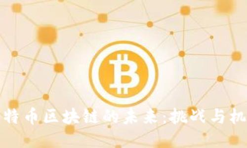 比特币区块链的未来：挑战与机遇